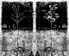04 ARBOLES A-B.jpg (101894 bytes)