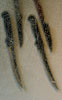 ESPADAS 4.jpg (26777 bytes)
