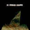 Copy_of_ARRIAZA_-_MY_PLACES_ARE_BLACK_SWEAT_-_550ppi.jpg (21986 bytes)
