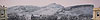 99008.jpg (24577 bytes)