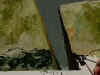 6 ARRIAZAS_B.jpg (49356 bytes)